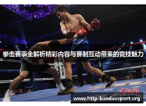 拳击赛事全解析精彩内容与赛制互动带来的竞技魅力