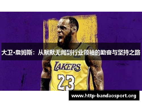 大卫·詹姆斯:从默默无闻到行业领袖的勤奋与坚持之路 大卫·詹姆斯:从默默无闻到行业领袖的勤奋与坚持之路