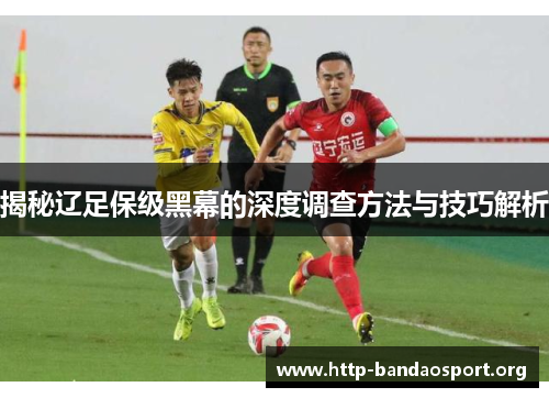 揭秘辽足保级黑幕的深度调查方法与技巧解析
