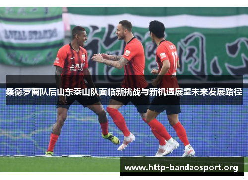 桑德罗离队后山东泰山队面临新挑战与新机遇展望未来发展路径