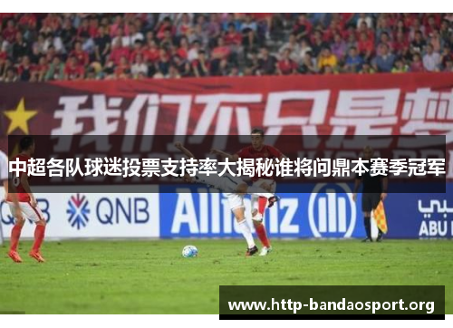 中超各队球迷投票支持率大揭秘谁将问鼎本赛季冠军