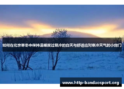 如何在北京寒冬中保持温暖度过最冷的白天与舒适应对寒冷天气的小窍门