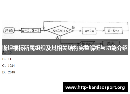 斯坦福桥所属组织及其相关结构完整解析与功能介绍