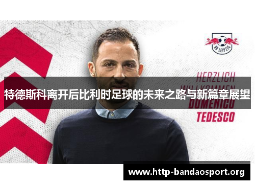 特德斯科离开后比利时足球的未来之路与新篇章展望