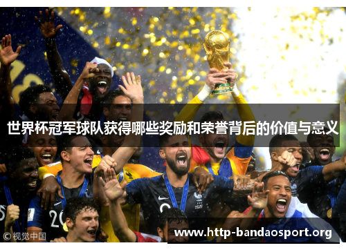 世界杯冠军球队获得哪些奖励和荣誉背后的价值与意义