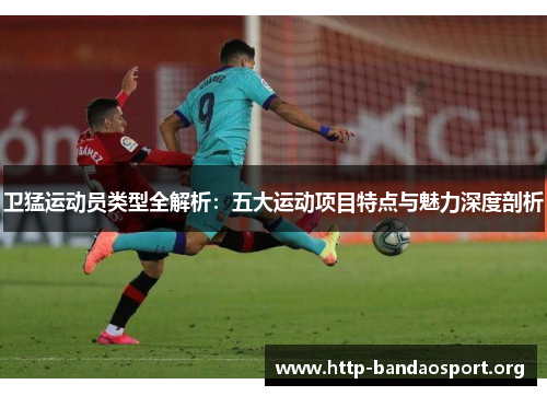 卫猛运动员类型全解析：五大运动项目特点与魅力深度剖析