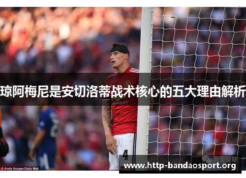 琼阿梅尼是安切洛蒂战术核心的五大理由解析