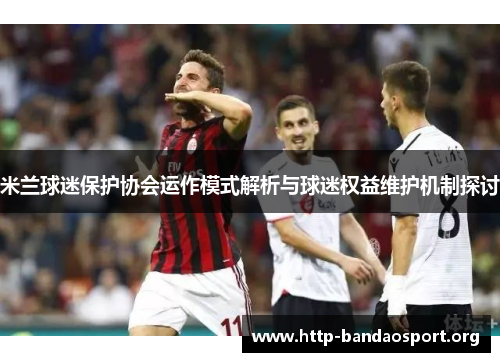米兰球迷保护协会运作模式解析与球迷权益维护机制探讨