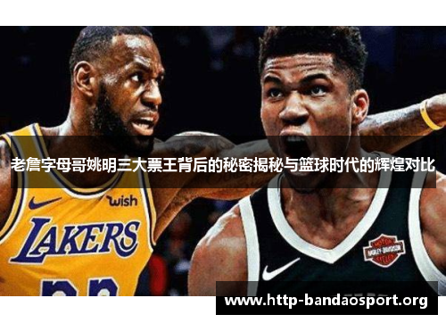 老詹字母哥姚明三大票王背后的秘密揭秘与篮球时代的辉煌对比