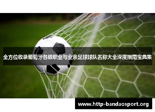 全方位收录葡萄牙各级职业与业余足球球队名称大全深度指南宝典集 全方位收录葡萄牙各级职业与业余足球球队名称大全深度指南宝典集